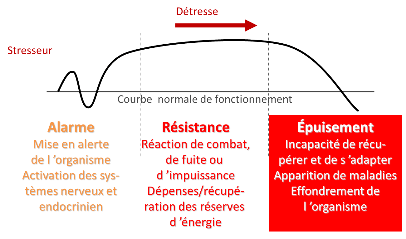 Le Syndrome Général d'Adaptation