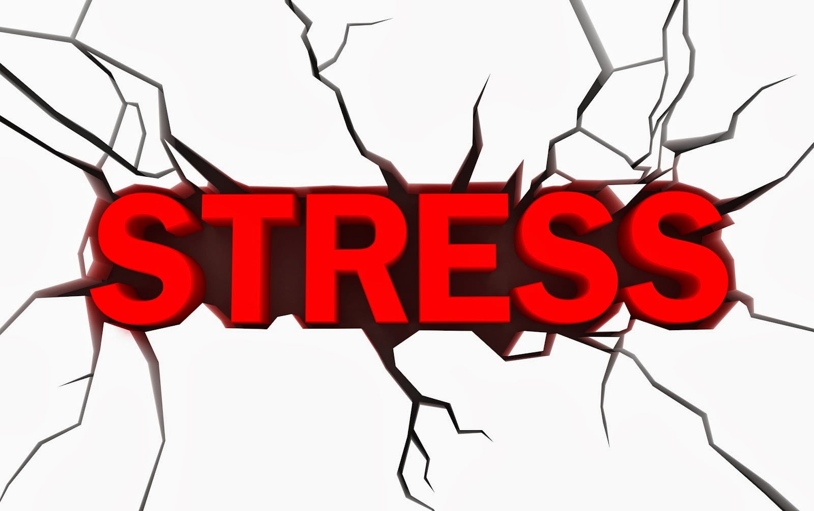 Stress, une réponse?